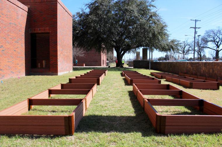 Tarleton Campus to have its own sustainability garden.