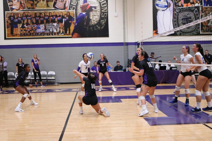 TexAnn volleyball  finishes strong