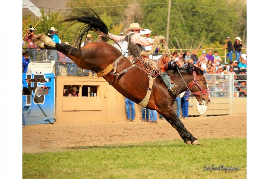 Brody Cress is off to The American Rodeo