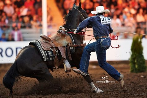 Haven Meged hops off of his horse to chase after the calf as part of his performance in the Tie-Down Roping competition. 