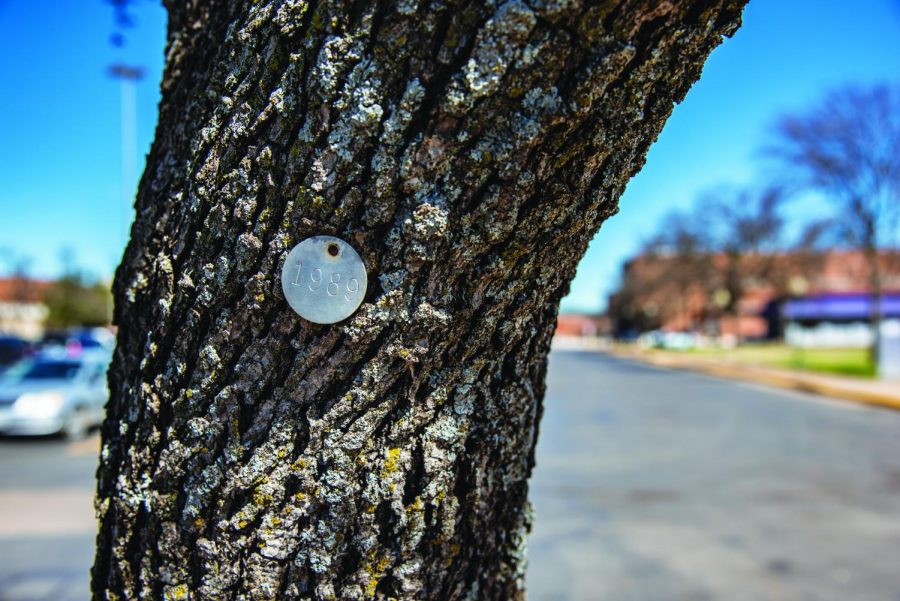 The tree tags are part of a system that allows trees to be identified for maintenance purposes and while some may have the year they were planted, most have a unique number. Also many of the trees are missing tags or are not easily accessible anymore. 