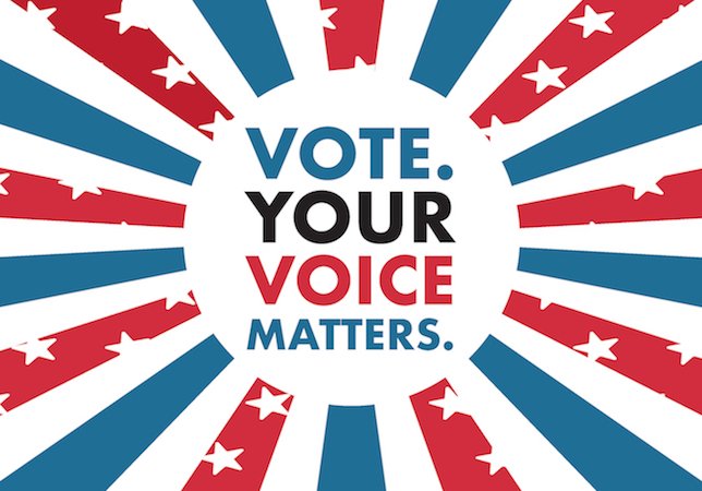 Around 46.9 percent of all eligible voters chose not to take part in the 2016 elections. Voting is a critical piece of the American government. This election year, please go out and use your power by participating in The Election. 