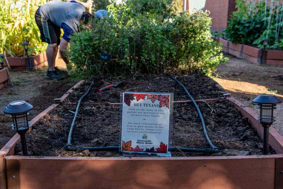 The Tarleton community garden located next to the  Clyde H. Wells Fine Arts Center.