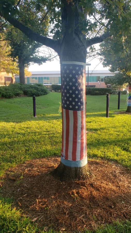 The yearly tree wrappings covered by an American flag.
