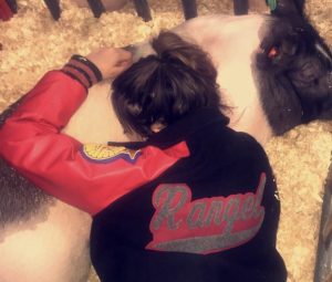 This photo is from one of my high school county shows. This is me after a long day asleep in the pin my show gilt was in. 
