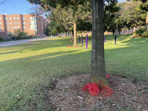 Tree wrapping vandalized